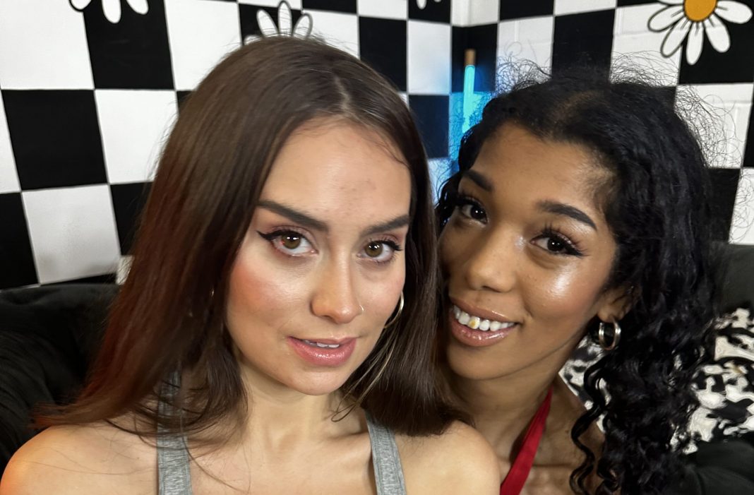 BSX Web content babeshows
