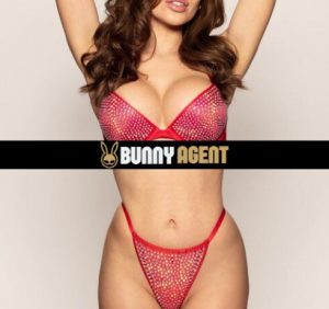 bunny agent model