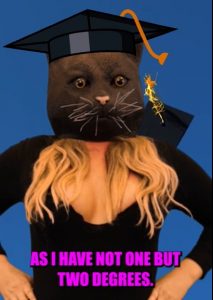 Clever Kitty the masked model